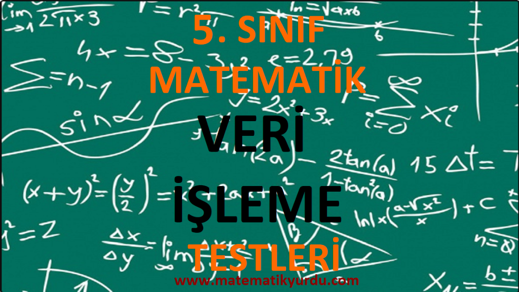 5. Sınıf Veri İşleme Testi